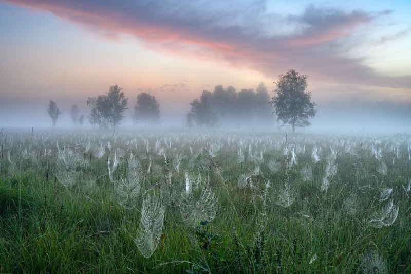 GDT Nature Photographer of the Year 2025: Konrad Wothe Wins