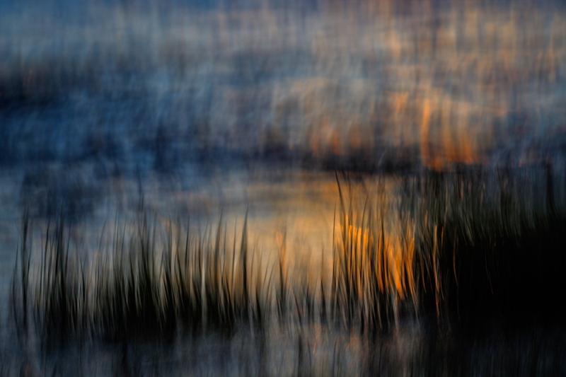 GDT Nature Photographer of the Year 2025: Konrad Wothe Wins