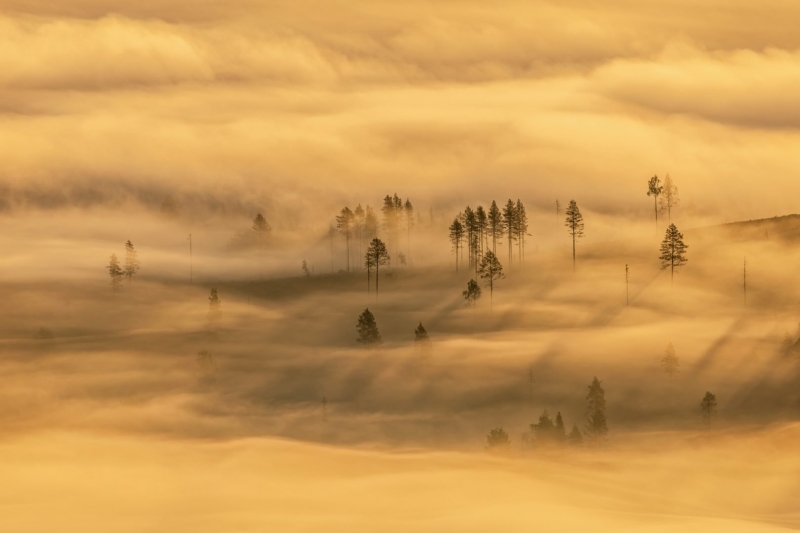 GDT Nature Photographer of the Year 2025: Konrad Wothe Wins
