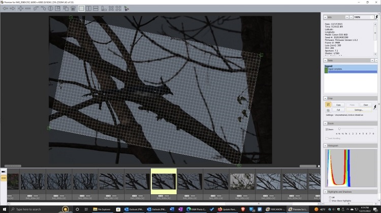17 Best Free Lightroom Alternatives for Professionals in 2025