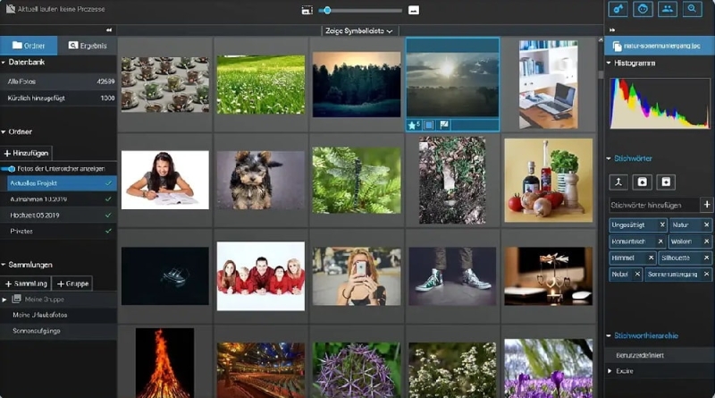 17 Best Free Lightroom Alternatives for Professionals in 2025