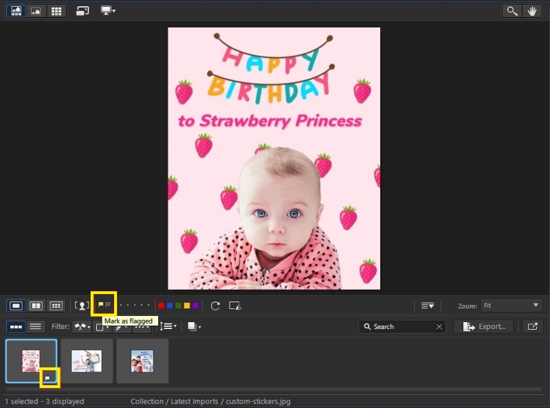 17 Best Free Lightroom Alternatives for Professionals in 2025