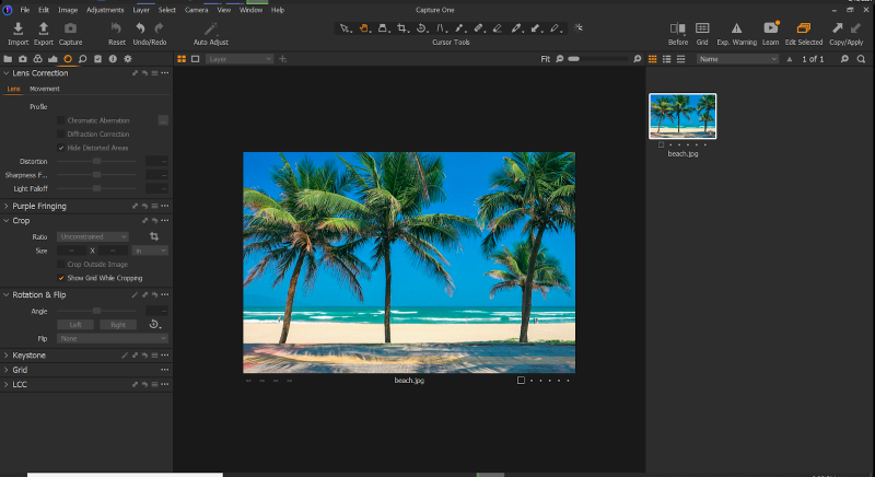 17 Best Free Lightroom Alternatives for Professionals in 2025