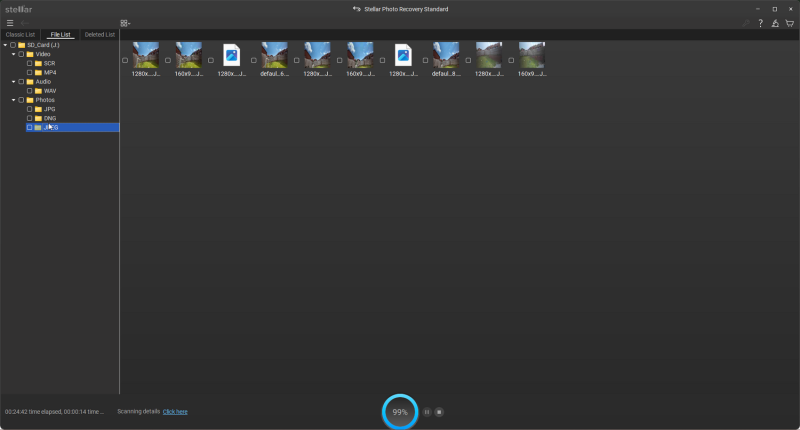 A Photographer’s Safety Net: We Review Stellar Photo Recovery 12
