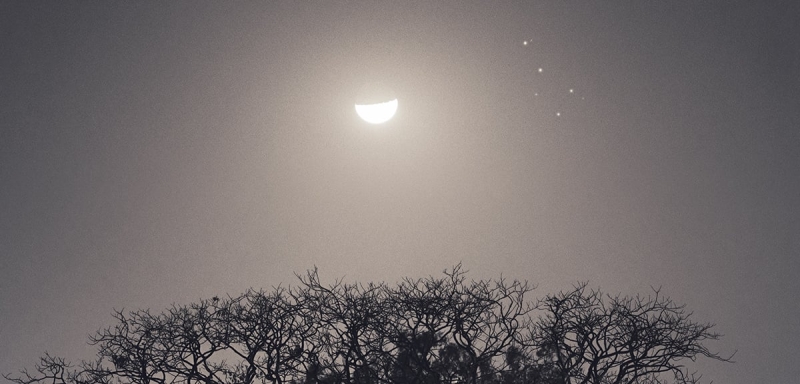 Don’t miss these astrophotography opportunities in June 2025
