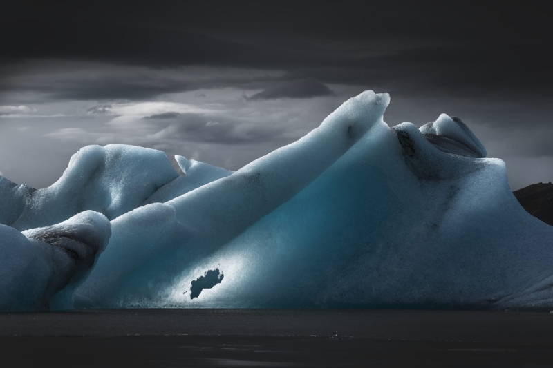 Environmental Photographer of the Year 2025 Winners Announced
