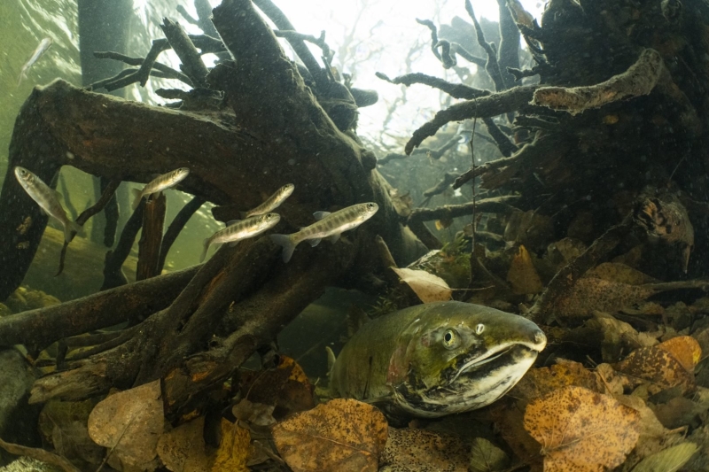 Environmental Photographer of the Year 2025 Winners Announced