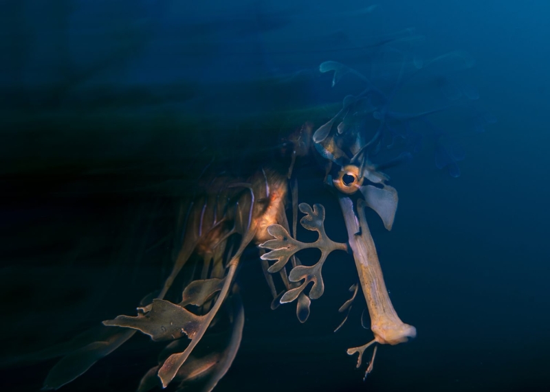 Environmental Photographer of the Year 2025 Winners Announced