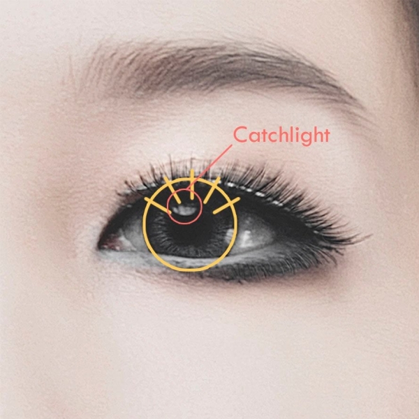 Eye Lights in Photography: How to Add Life and Impact to Portraits
