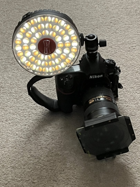 Eye Lights in Photography: How to Add Life and Impact to Portraits