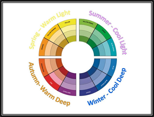 Free Color Analysis Guide: Find Out Which Seasonal Colors Suit You