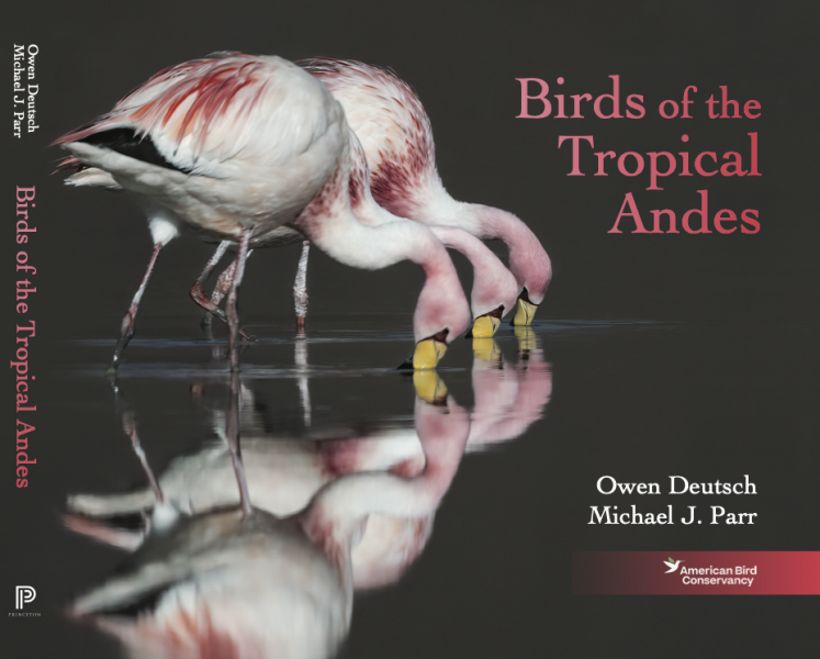 From the Catwalk to Jungles: This Photographer Switched From Shooting Fashion to Tropical Birds