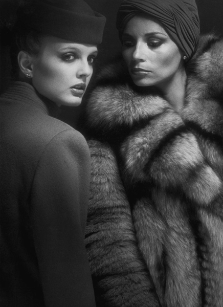 From the Catwalk to Jungles: This Photographer Switched From Shooting Fashion to Tropical Birds