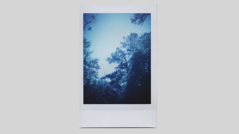 TLR Instant Camera: Get More from Mint Camera Rolleiflex