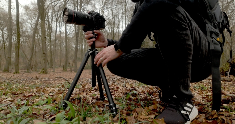 Travel Light, Shoot Heavy: We Review the Falcam TreeRoot Quick Lock Lite Tripod