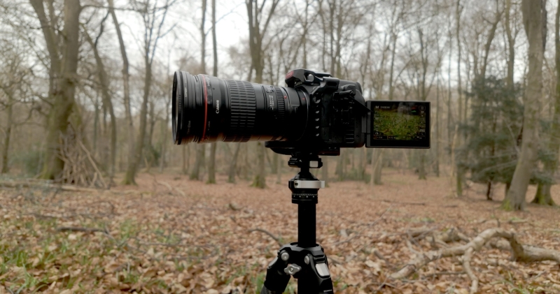 Travel Light, Shoot Heavy: We Review the Falcam TreeRoot Quick Lock Lite Tripod
