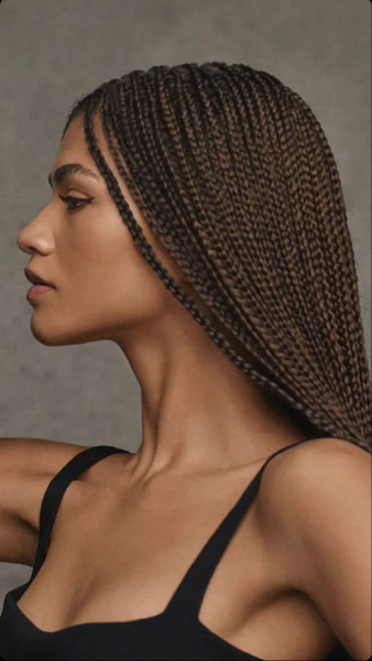 AI Braids Filter App: What Would I Look Like with Box Braids?