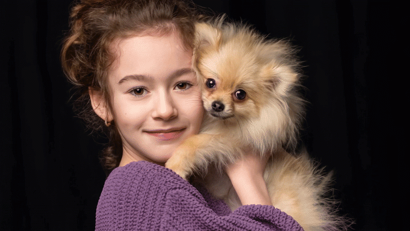 Cartoonize My Dog: Turn Pets into Cartoon with AI [Online + App]