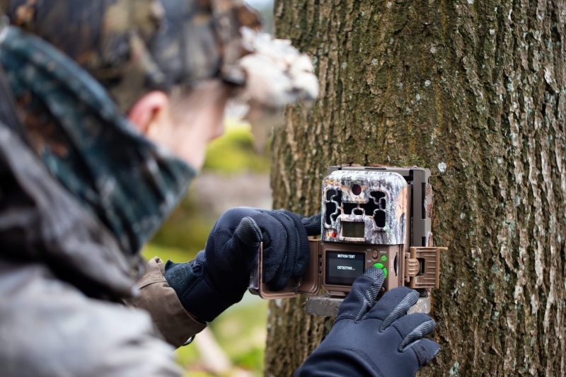 The Ultimate Wildlife Photography Guide: Gear, Tips & Ethics