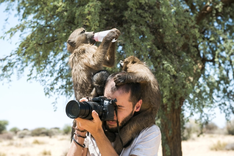 The Ultimate Wildlife Photography Guide: Gear, Tips & Ethics