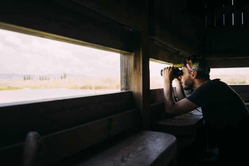 The Ultimate Wildlife Photography Guide: Gear, Tips & Ethics