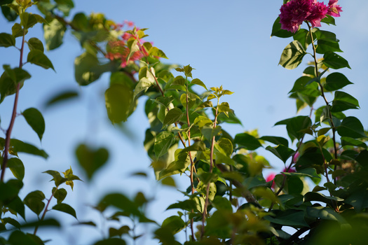 We Review the Viltrox AF 50mm f/2.0 Air Lens for Sony FE Mount