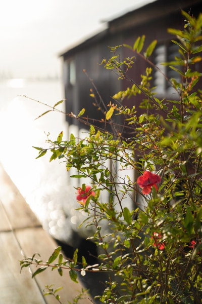 We Review the Viltrox AF 50mm f/2.0 Air Lens for Sony FE Mount
