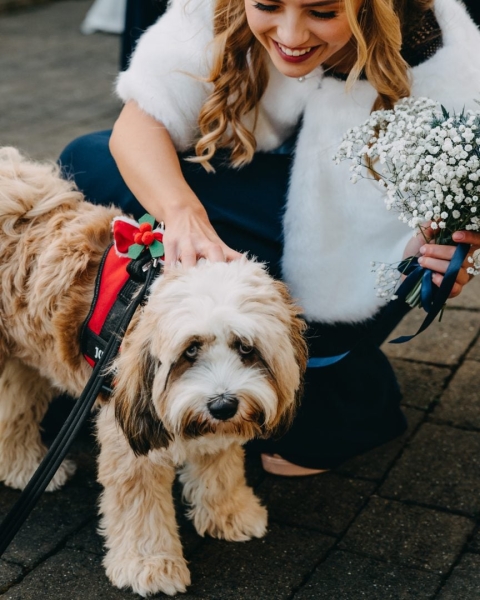 Wedding Photographer or DIY? Hilarious Reasons to Skip the Pro