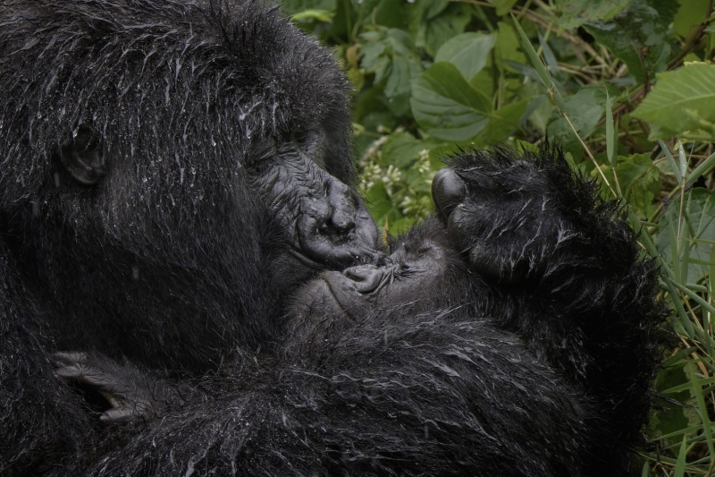 Wildlife Photography Meets Comedy: Funniest 2025 Shots so Far