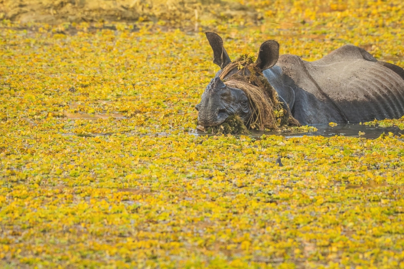 Wildlife Photography Meets Comedy: Funniest 2025 Shots so Far