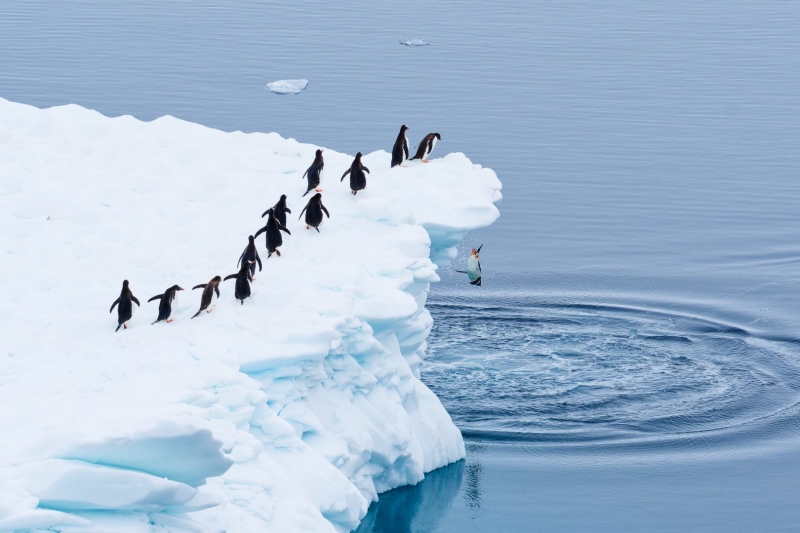 Wildlife Photography Meets Comedy: Funniest 2025 Shots so Far