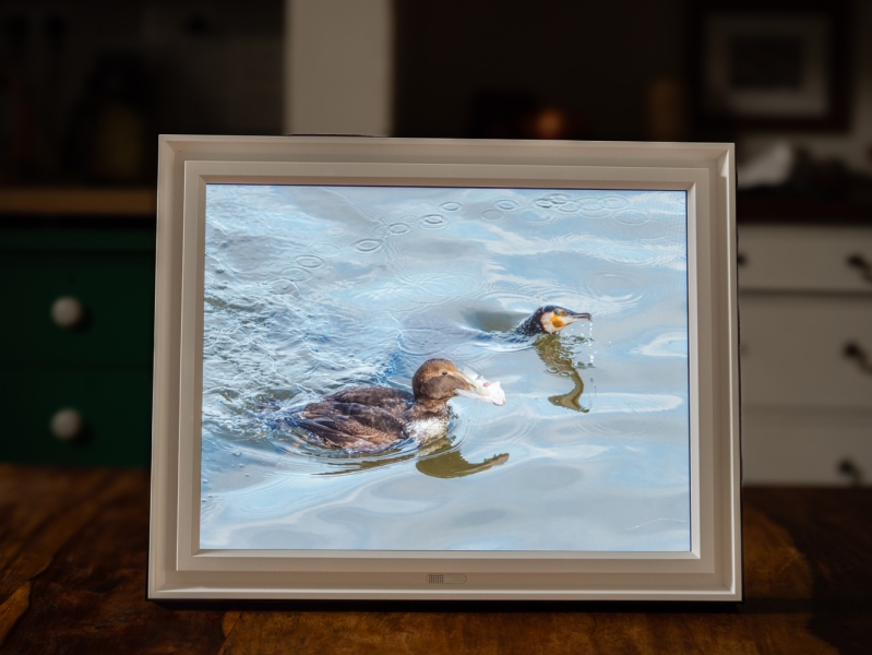 An Amazing Way to Share Your Photos: The PixStar Lux 17” Wi-Fi Digital Photo Frame