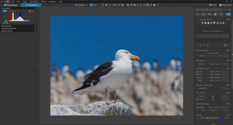 Are You a Photo Perfectionsist? Meet the DxO Suite