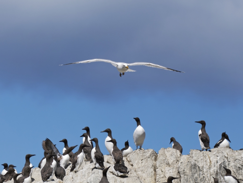 Are You a Photo Perfectionsist? Meet the DxO Suite
