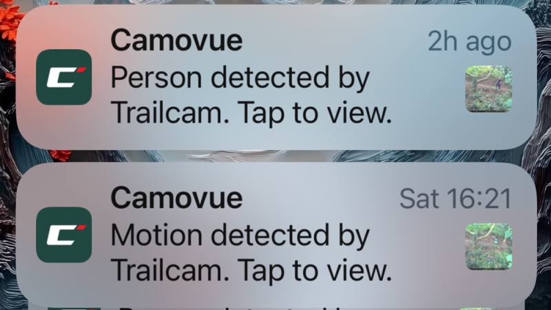Camovue Talon Pro Field Review: A Trail Camera That Could Actually Work in the Irish Landscape