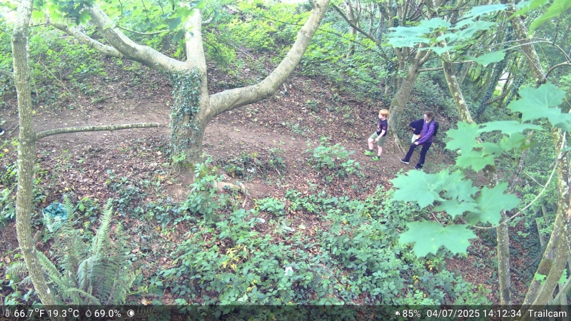 Camovue Talon Pro Field Review: A Trail Camera That Could Actually Work in the Irish Landscape