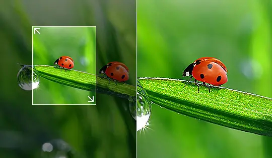 How to Increase Image Resolution Online for Free