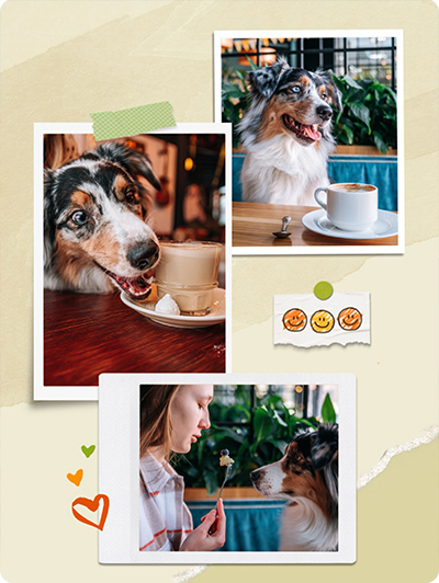 How to Put Multiple Photos on Instagram Story the Easy Way