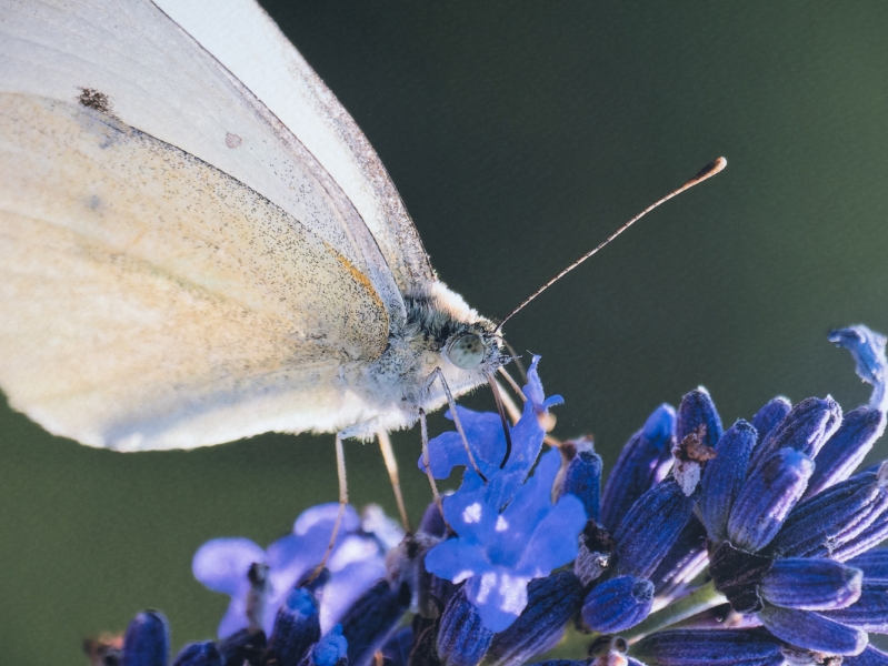 Rediscover Your Photography Mojo and Learn to Print with Fotospeed