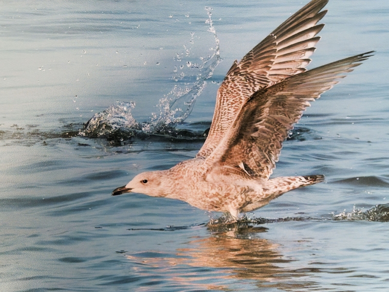 Rediscover Your Photography Mojo and Learn to Print with Fotospeed