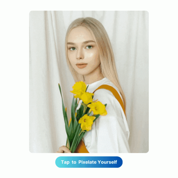How to Pixelate a Photo: Create Pixel Characters with a Pixel Filter