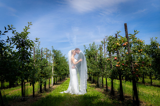 We Review the First Three Canon VCM-Prime Lenses