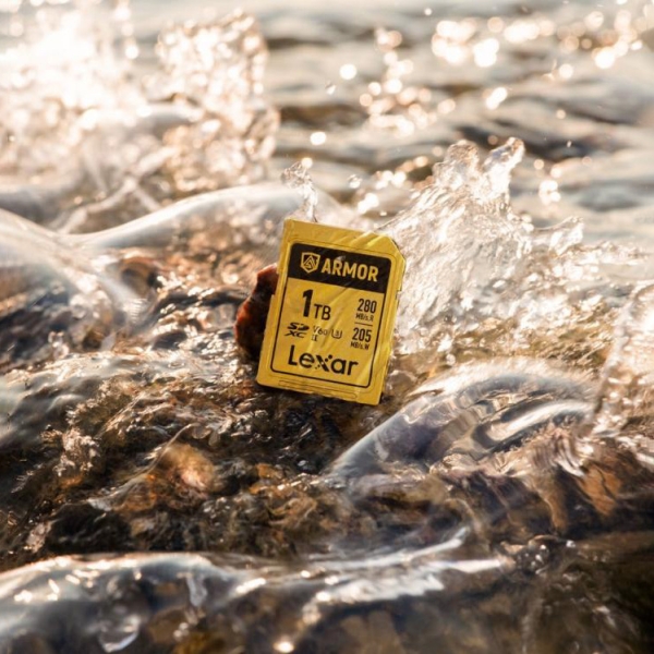Can a Stainless Steel Casing Save Your Next Shoot? Lexar’s ARMOR GOLD Reviewed