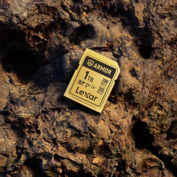 Can a Stainless Steel Casing Save Your Next Shoot? Lexar’s ARMOR GOLD Reviewed