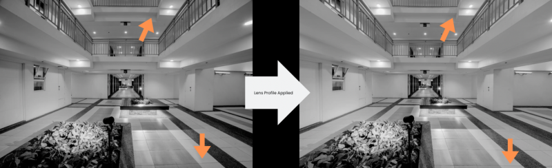 One of a Kind Ultra-Wide Angle Zoom: We Review the Schneider Kreuznach X LK Samyang 14-24mm f/2.8 Lens