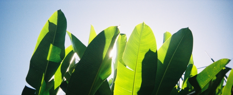 Reto Pano Review: Poor Man's Xpan for $35