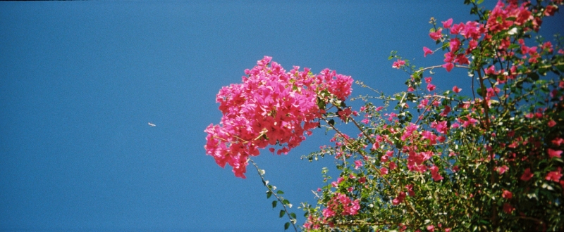 Reto Pano Review: Poor Man's Xpan for $35