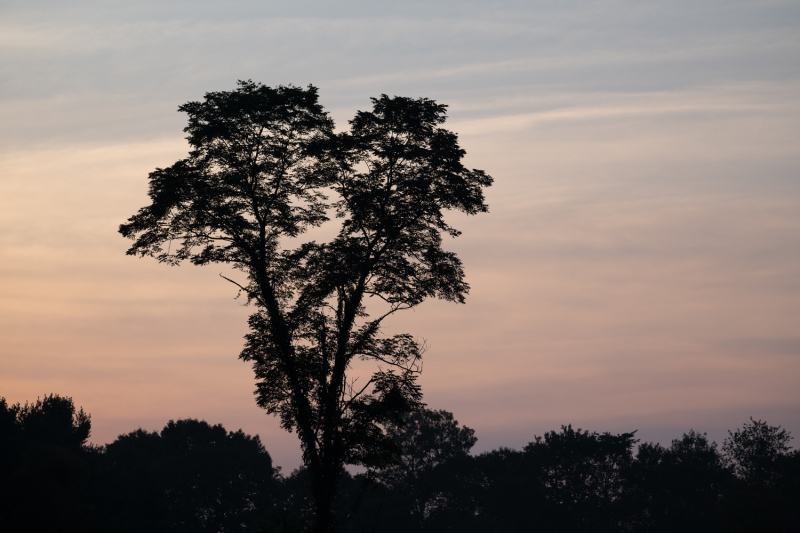 Why the Rethink Landscape Toolkit Is Staying in My Lightroom Workflow