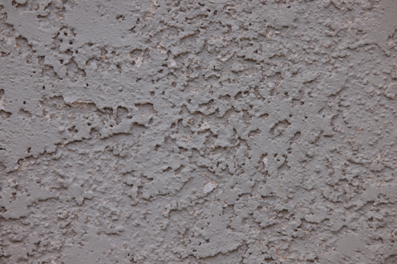 First Impressions Review: Laowa 200mm f/2 AF FF Lens