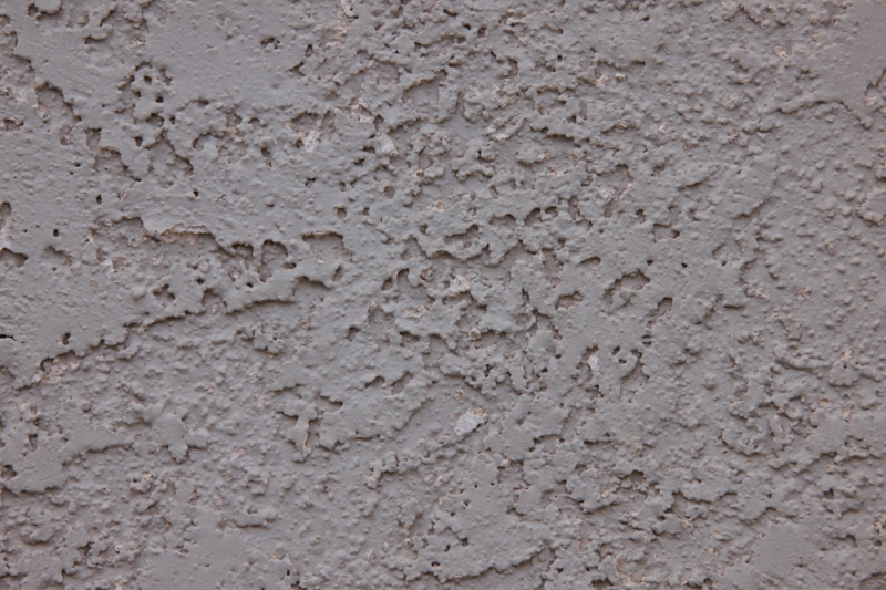 First Impressions Review: Laowa 200mm f/2 AF FF Lens